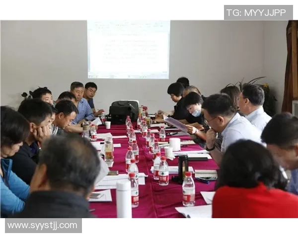 成都飞盘队比赛经验分析与表现评估的综合研究与探讨 成都飞盘队比赛经验分析与表现评估的综合研究与探讨