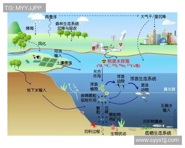 上海网球队区域防守分析及其对比赛结果的影响探讨 上海网球队区域防守分析及其对比赛结果的影响探讨