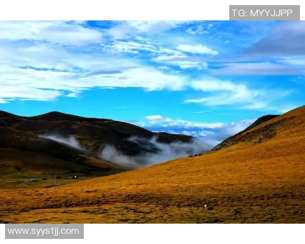 罗凯文的成长之路与人生哲学探索：从平凡到卓越的心灵旅程