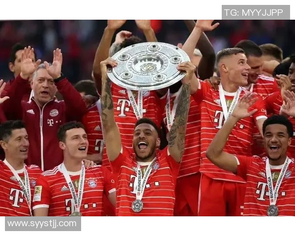 CCTV精彩回放拜仁对阵里昂的激烈对决视频集锦尽在此处