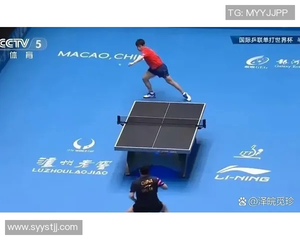 乒乓球耐力实力榜单权威发布揭示运动员真实竞技水平 乒乓球耐力实力榜单权威发布揭示运动员真实竞技水平