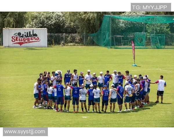 飞盘纪实：南京飞盘队成长历程与奋斗精神的真实记录MBA